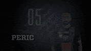 fc wacker innsbruck GIF