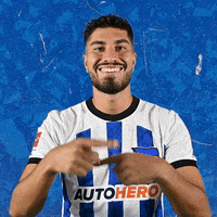 Bundesliga Ball GIF by Hertha BSC