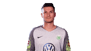 Pavao Pervan Football Sticker by VfL Wolfsburg