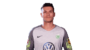 Pavao Pervan Football Sticker by VfL Wolfsburg