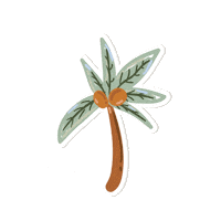 Santa Marta Summer Sticker by Decameron Hotels