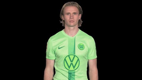Bundesliga No GIF by VfL Wolfsburg
