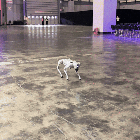 Dog Robot GIF