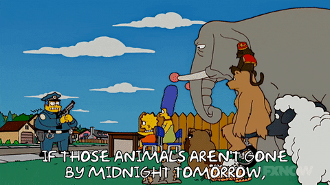 Lisa Simpson GIF by The Simpsons