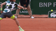 Russian Sport GIF by Roland-Garros