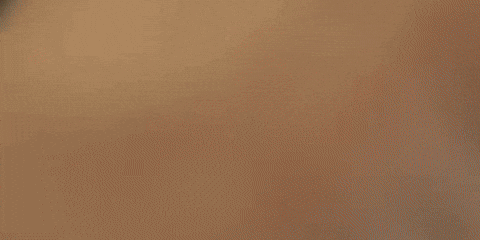 Dream Big Timothee Chalamet GIF by A24