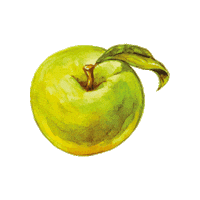 wineandsomething cheers wine healthy apple Sticker