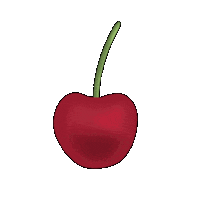 Cherry Sticker