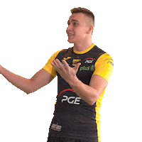 Belchatow Sticker by PGE Skra Bełchatów
