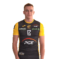 Belchatow Sticker by PGE Skra Bełchatów