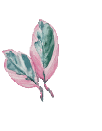 Adenada summer pink flower green Sticker