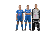 Floorball Salibandy Sticker by F-liiga