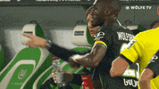 Head Coach Soccer GIF by VfL Wolfsburg