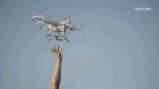 viceland GIF by Payday