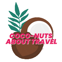Travelling Meet The World Sticker by Hostelworld