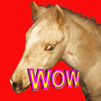 Wow GIF by BuzzFeed Animation