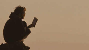 video editing top fonts 2019 GIF by Typito