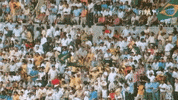 World Cup Football GIF by FIFA