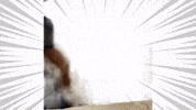 漫画 No GIF
