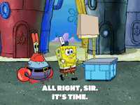 season 8 GIF by SpongeBob SquarePants