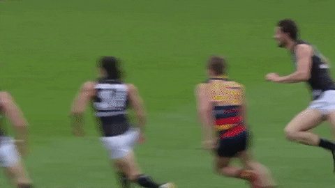GIF by Port Adelaide FC