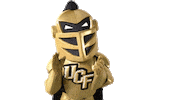 ucf football slow clap Sticker by UCF Knights
