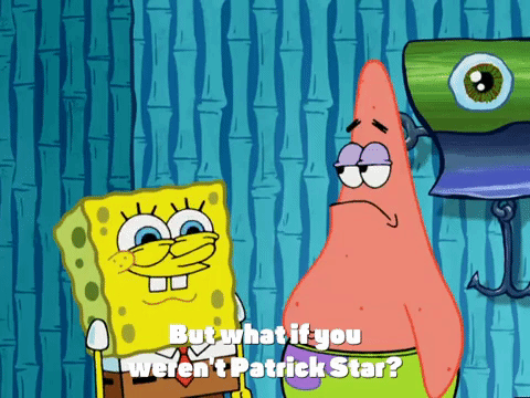 season 4 GIF by SpongeBob SquarePants