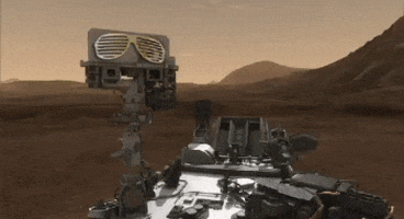 curiosity GIF