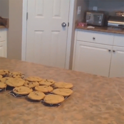 cookies GIF