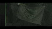 Flag Flex GIF by GRMV