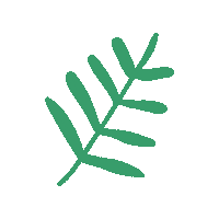 cegepduvieuxmtl green leaf eco vert Sticker