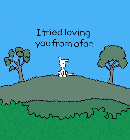 I Love You Dogs GIF by Chippy the Dog