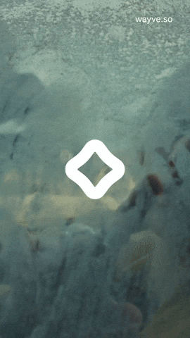 Vintage Ai GIF by Darwin