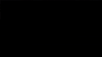 cruisin usa GIF by namslam