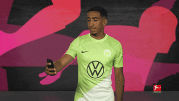 Vfl Wolfsburg Selfie GIF by Bundesliga