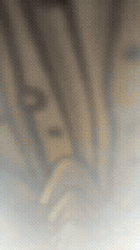 Godzilla Godzillamovie GIF by Youtooz