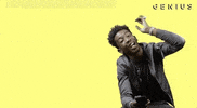 panda GIF by Genius