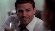 temperance brennan cheers GIF by Bones