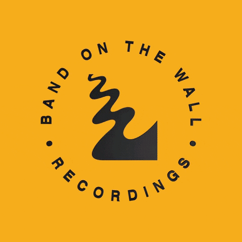 bandonthewall giphyupload GIF