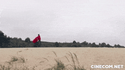 Cinecom  GIF