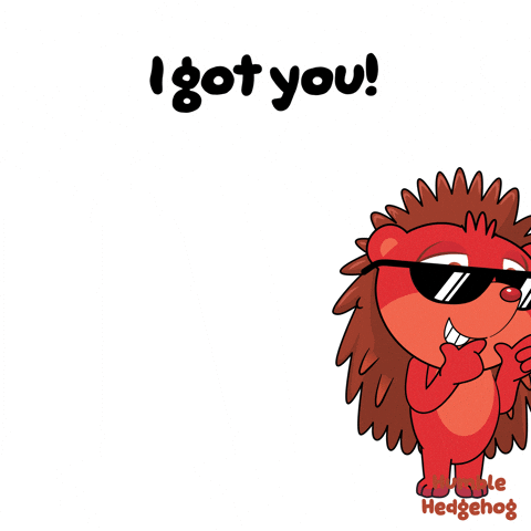 I Got You Ok GIF by VeeFriends