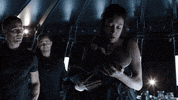 johnny dutch GIF by Space