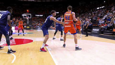 Assist Liga Endesa GIF by ACB