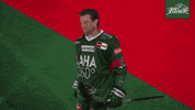 Celebration Goal GIF by Augsburger Panther Eishockey GmbH