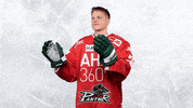 Hockey Del GIF by Augsburger Panther Eishockey GmbH