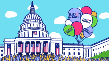 Inauguration Zoom Background