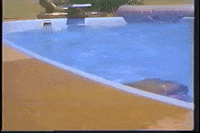 death stranding fish GIF by Jason Clarke