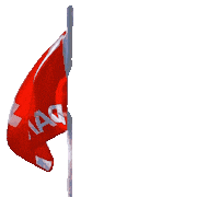 Diving Sticker by DAN Europe