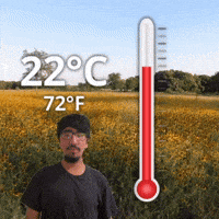 22 °C