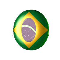 brazil STICKER